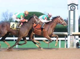 Mandaloun won his first two races, including this maiden-breaker at Keeneland last October. He looks to rebound off a disappointing third last out as the 9/2 favorite in the Risen Star Saturday. (Image: Coady Photography)