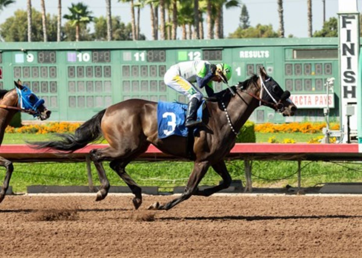 Manhattan Up-Oaklawn claiming