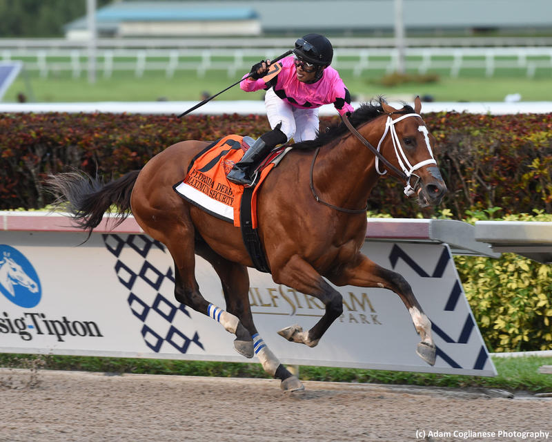 Maximum Security winning 2019 Florida Derby