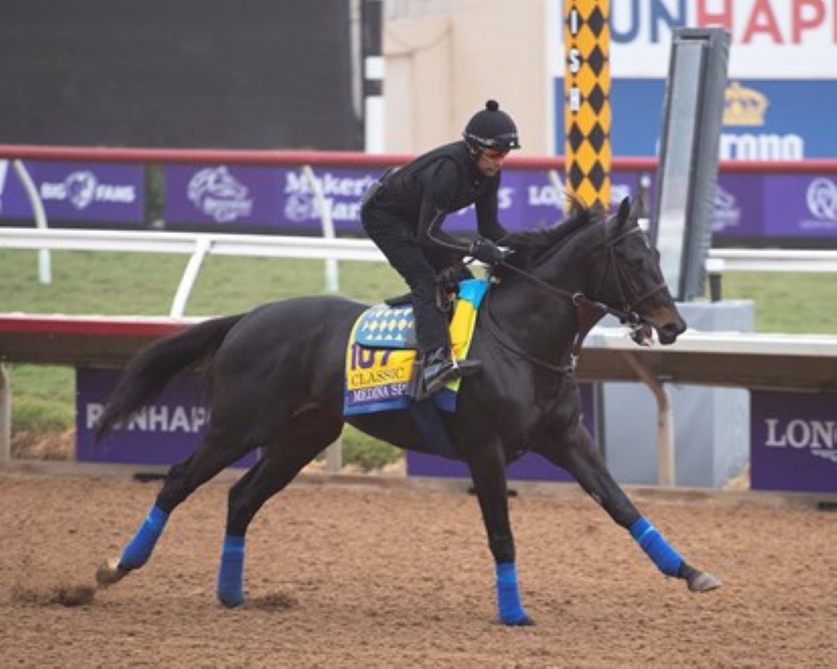 Medina Spirit-Baffert court appeal