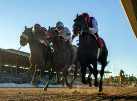 Medina Spirit (right) nipped Roman Centurian (left) and Hot Rod Charlie in a Robert B. Lewis photo finish in January. The Bob Baffert trainee becomes the expected favorite in the April 3 Santa Anita Derby. (Image: Benoit Photo)