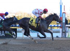 Mind Control owns seven victories and more than $1 million in career earnings. He's also the only one of the five Carter Handicap entries with a Grade 1 victory. (Image: Susie Raisher)