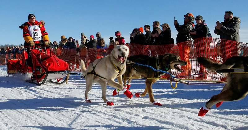 Mitch Seavey musher oldest winner