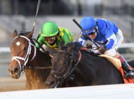 Mo Donegal and Irad Ortiz Jr . (left) nipped Zandon and John Velazquez at the wire to win the Grade 2 Remsen Stakes. Zandon's owner, Jeff Drown, filed a protest with the New York State Gaming Commission, claiming Ortiz fouled his horse with aggressive hand motions. (Image: Chelsea Durand/Coglianese Photos)