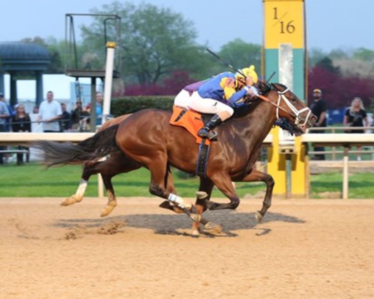 Mr. Wireless-Indiana Derby