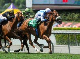 Neige Blanche won the first of three closing-day stakes races at Santa Anita Sunday. That was her third stakes victory of the Southern California track's 2021-22 Winter/Spring Meet schedule. (Image: Benoit Photo)