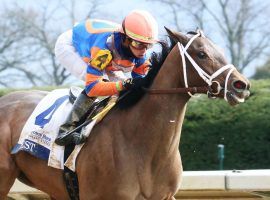 Nest and Irad Ortiz Jr. enjoyed an 8 1/4-length romp in Saturday's Grade 1 Ashland Oaks at Keeneland. The 3-year-old will attempt to give Todd Pletcher his second consecutive Kentucky Oaks victory and fifth overall. (Image: Keeneland/Coady Photography)