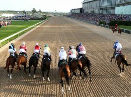 With California racing enduring smaller fields and coronavirus shutdowns, more and more California trainers are finding smooth trips at Arkansas' Oaklawn Park. (Image: Coady Photography)