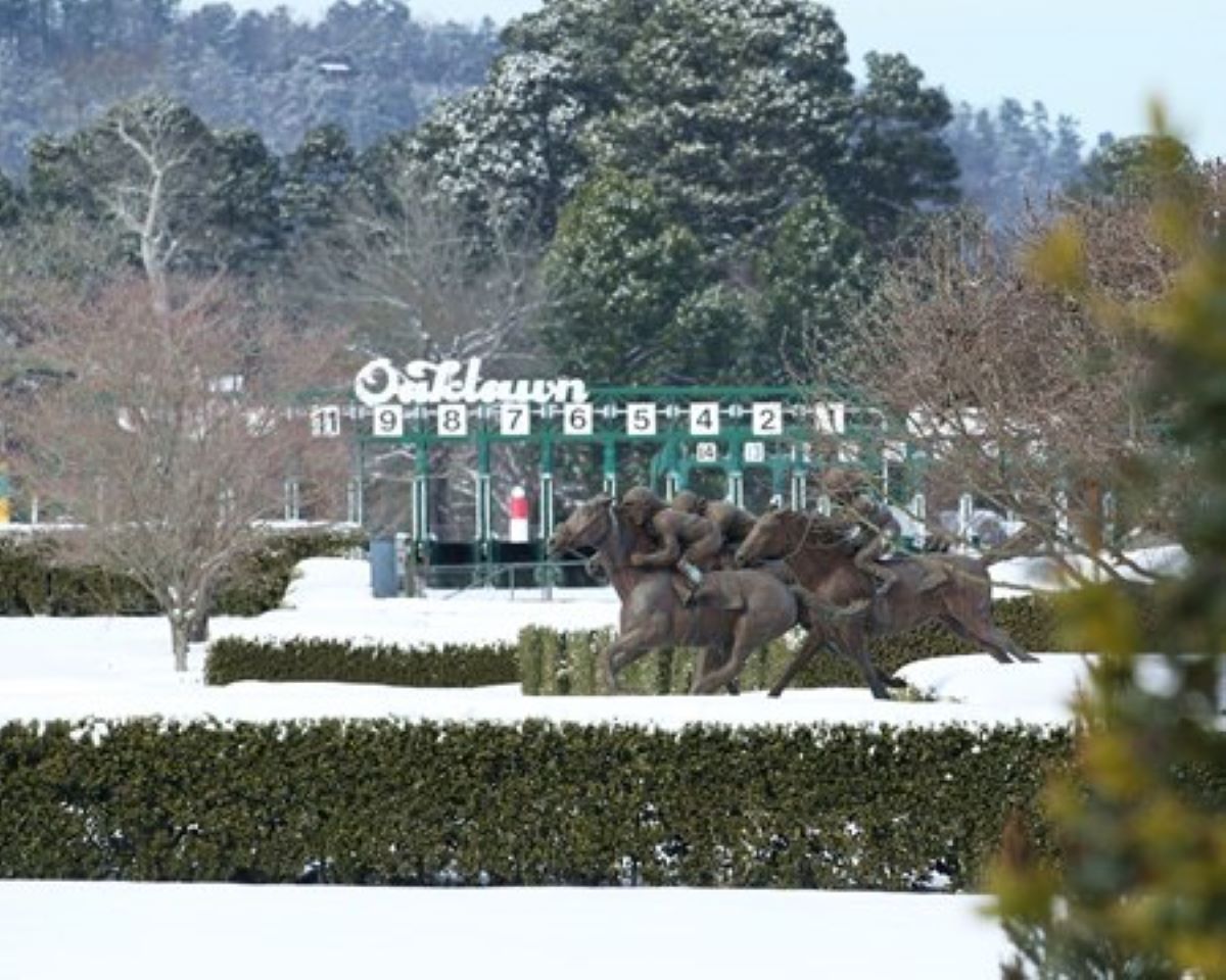 Oaklawn Storm