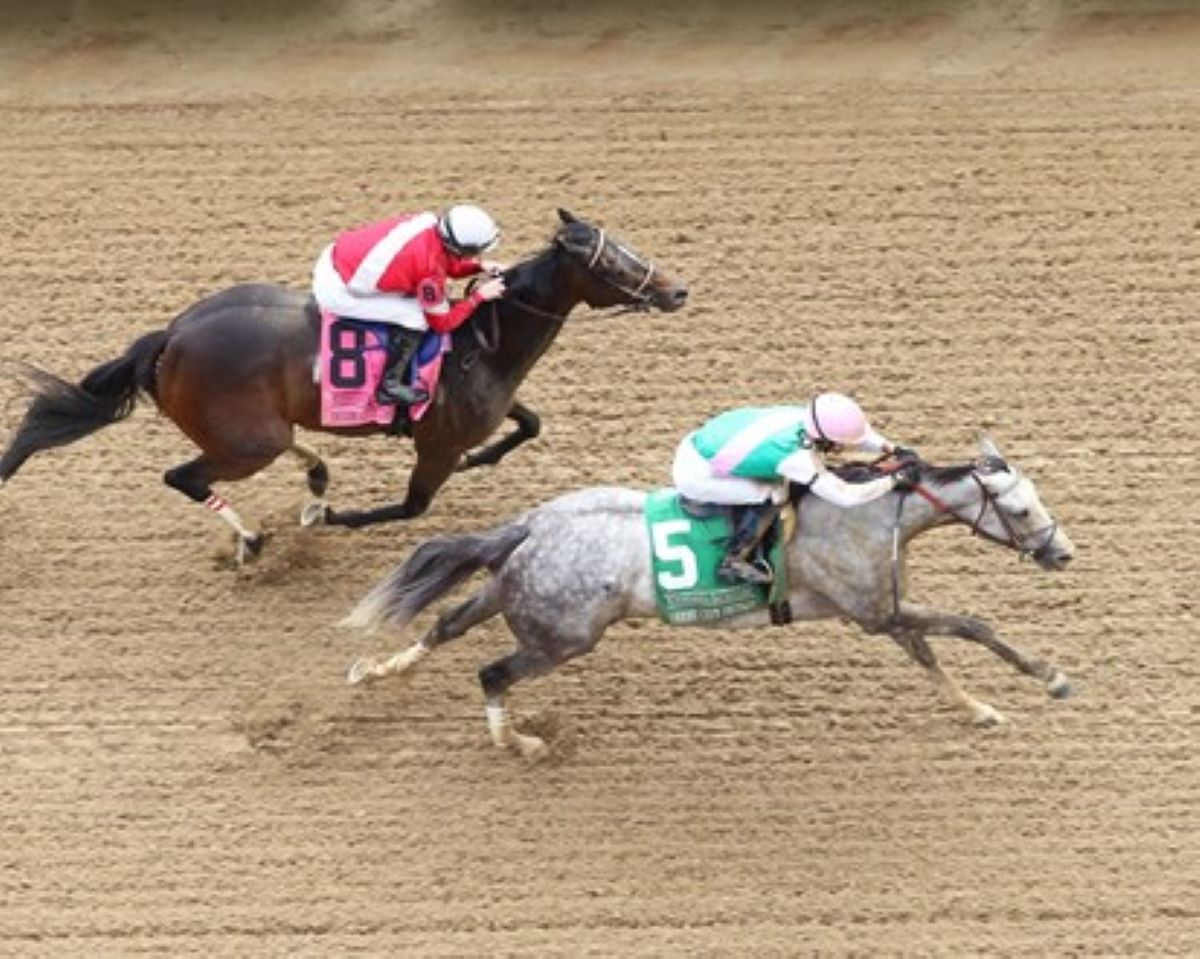 Breeders' Cup Dirt Dozen