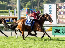 Irish-bred Ocean Road won the Grade 1 Gamely Stakes in May. The Gamely is one of 10 Grade 1 stakes on Santa Anita Park's 2022-23 Winter/Spring Meet stakes schedule. (Image: Benoit Photo)