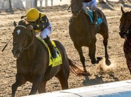 Olympiad showed his speed with a record performance in February's Grade 3 Mineshaft Stakes. He seeks his third win of 2022 in Saturday's New Orleans Classic. (Image: Hodges Photography/Lou Hodges Jr.)