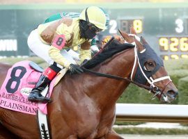 Plainsman captured the Razorback Handicap by a neck in his last outing: the Grade 3 Razorback Handicap. He's the 5/2 second favorite in the Grade 3 Oaklawn Handicap, the final race in this week's Cross Country Pick 5. (Image: Coady Photography)