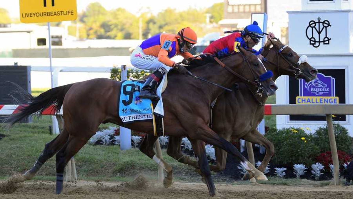 2020 Preakness Finish