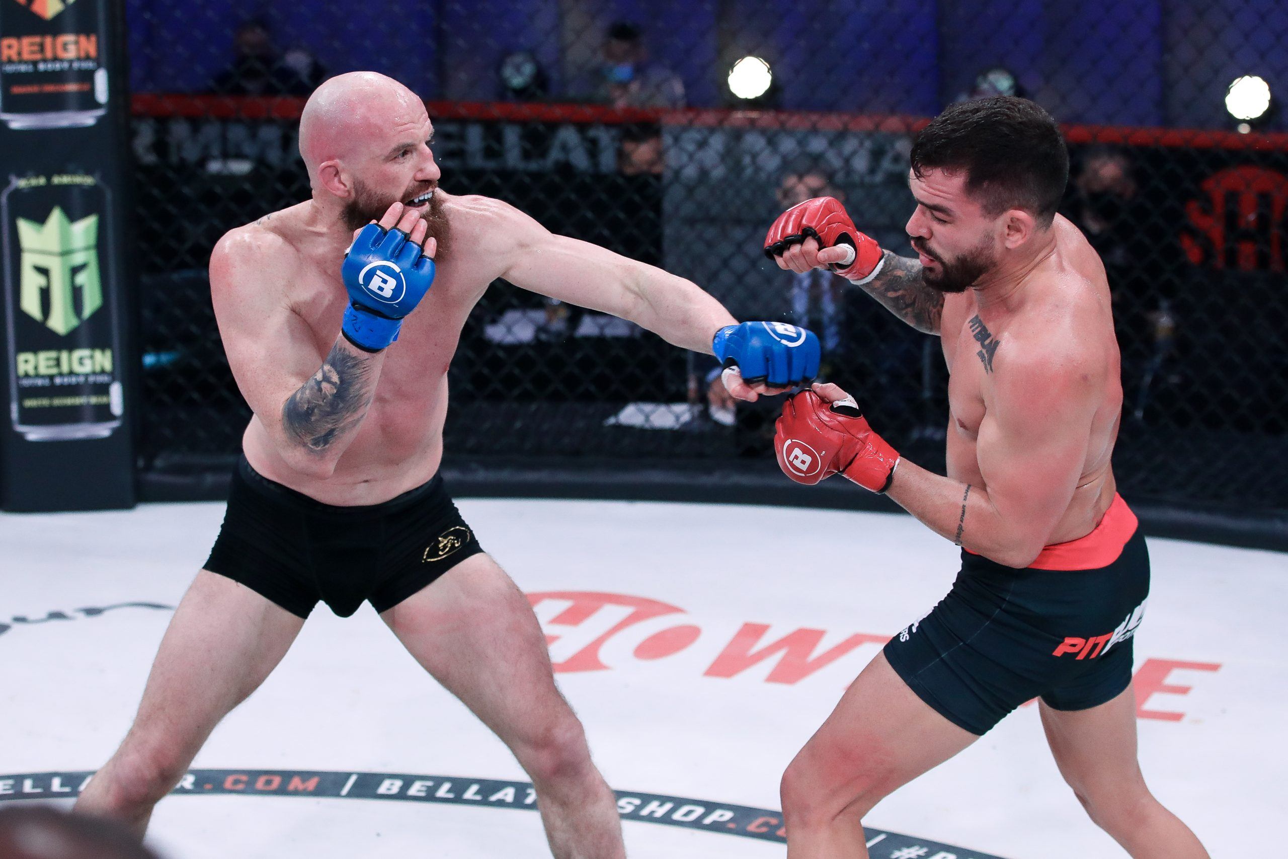 Queally Pitbull odds Bellator