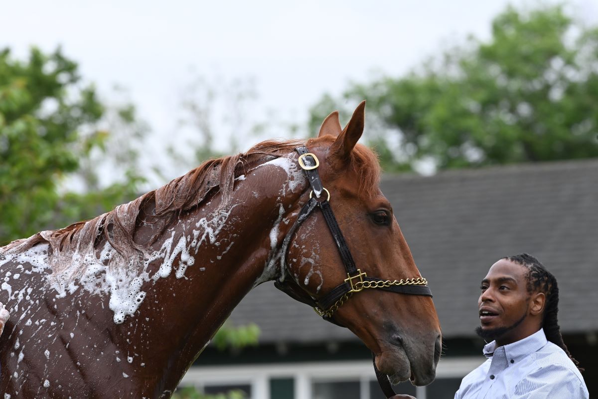 Rich Strike-Belmont arrival