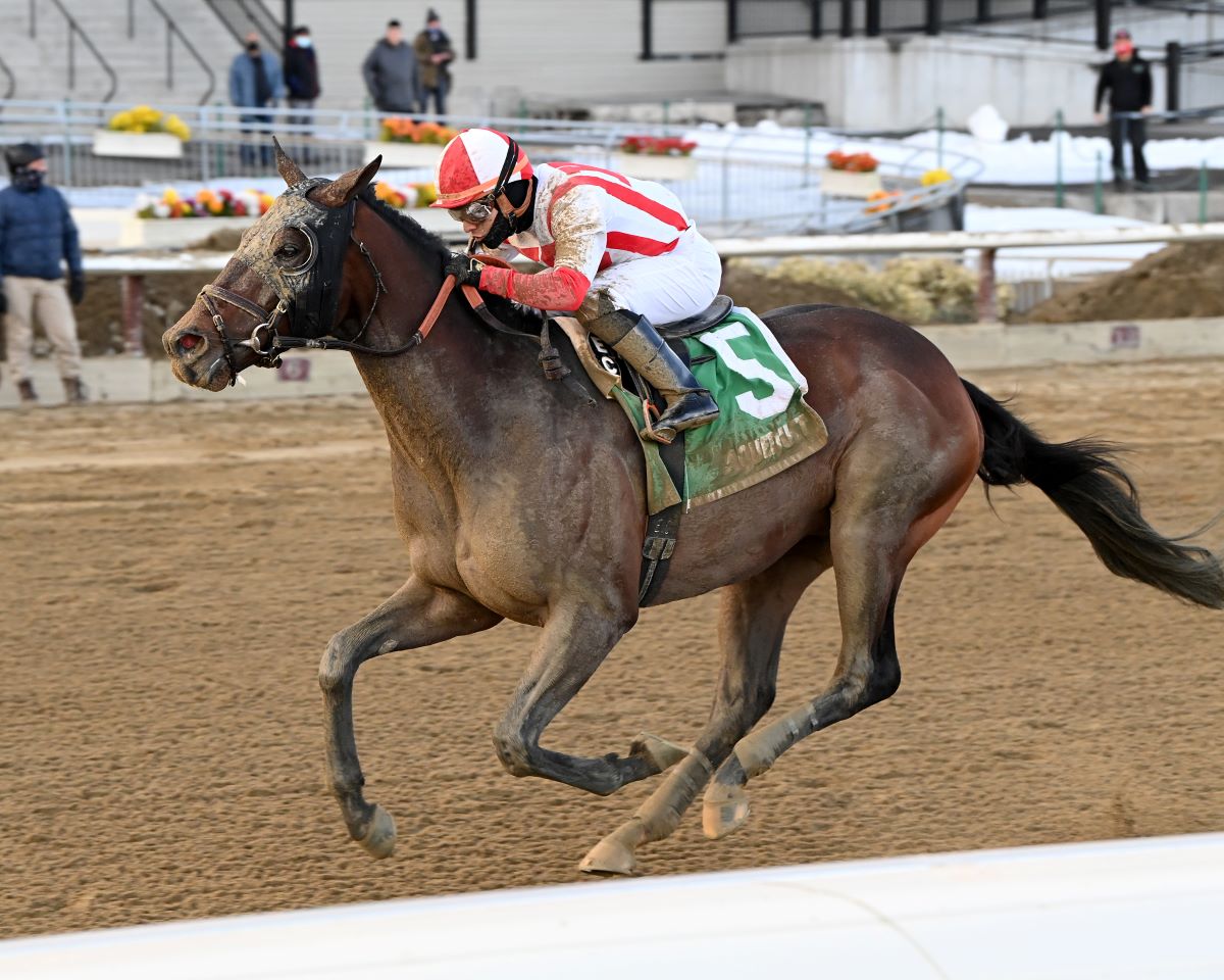 Risk Taking-Preakness