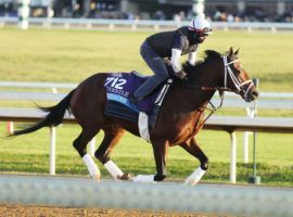 Rombauer brings a strong resume along with 8/5 morning-line odds to the El Camino Real Derby. (Image: Coady Photography)