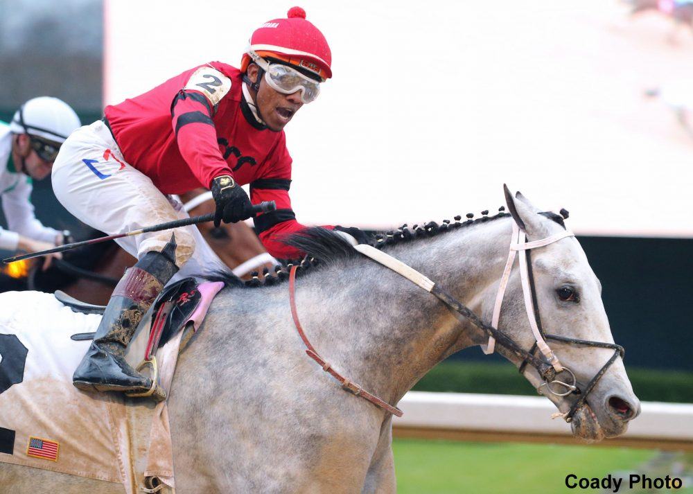 Silver Prospector racking up derby points