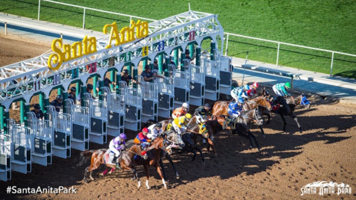 Horses exit Santa Anita starting gate