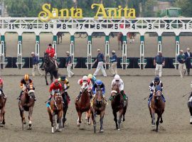 Horses breaking from the Santa Anita starting gate won't be seen live by fans. But the iconic Southern California racetrack reopens for business Friday. (Image: Southern California News Group)