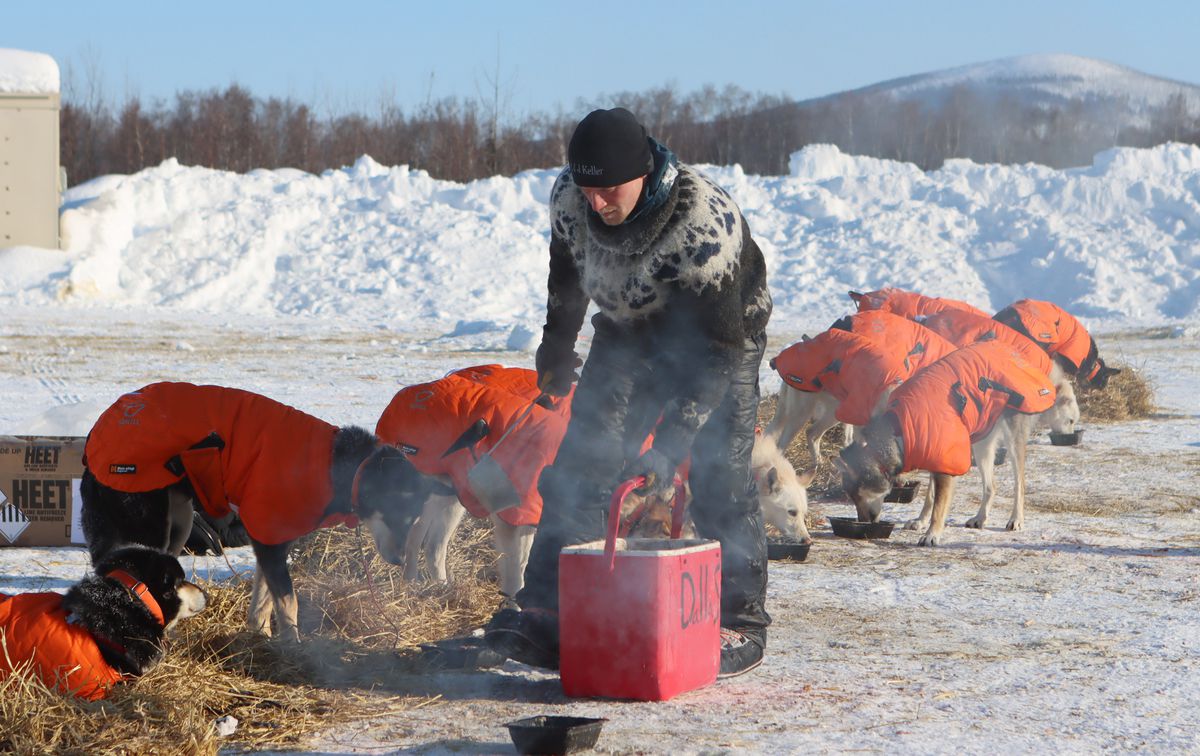 Dallas Seavey 2021 Iditarod dogs sled dog race