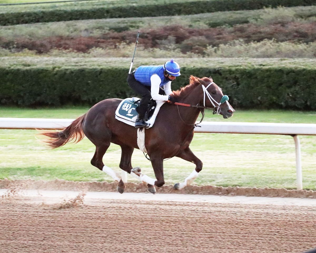 Secret Oath-Arkansas Derby