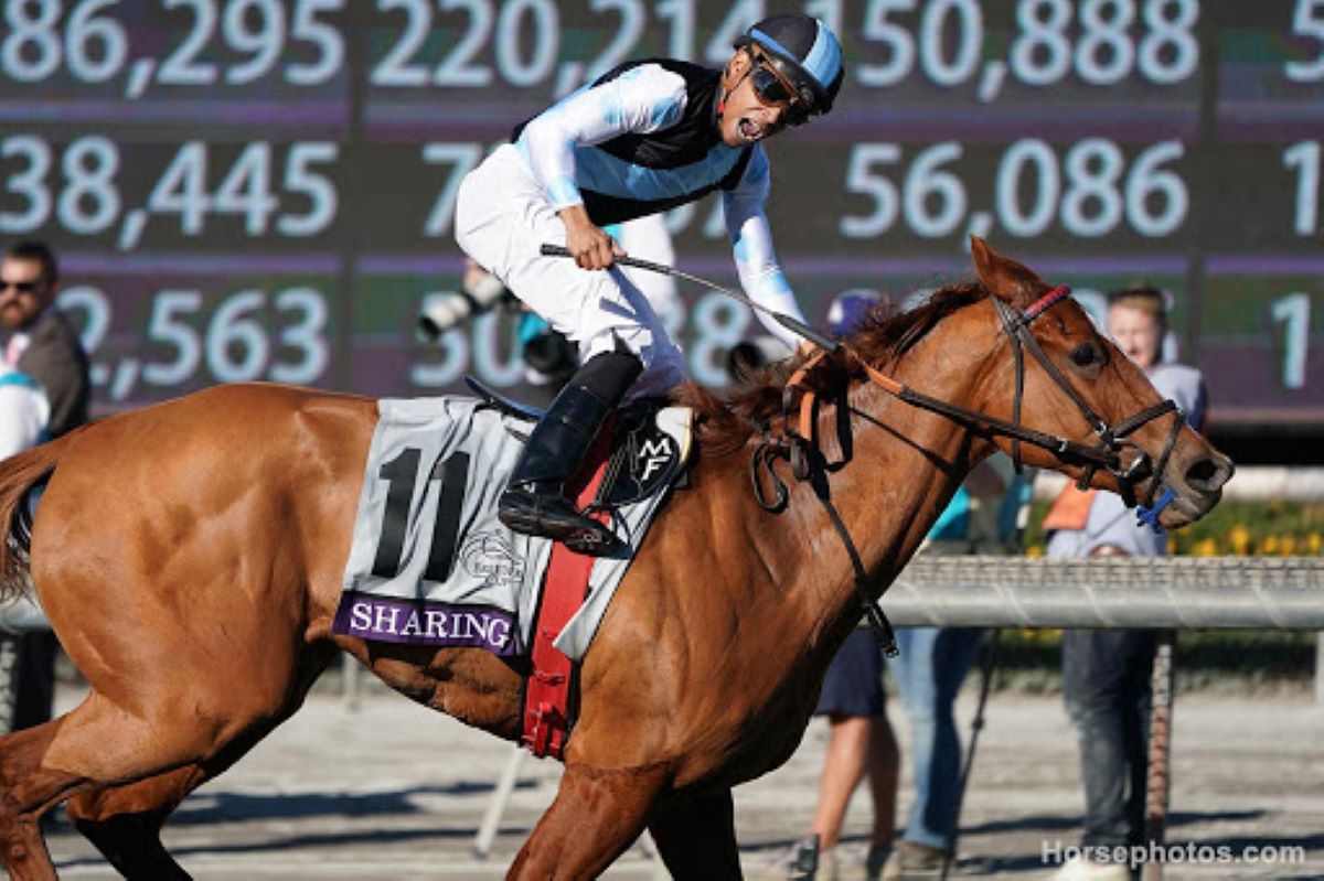 Sharing-Royal Ascot