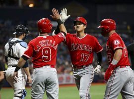 Shohei Ohtani, the DH for the LA Angels, is congratulated by teammates after he hit a first-inning home run against the Tampa Bay Rays at Tropicana Field. (Image: Monica Herdnon/Tampa Times)