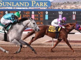 Slow Down Andy (4), seen here beating Bye Bye Bobby to win March's Grade 3 Sunland Park Derby, bowed out of the May 7 Kentucky Derby after spiking a fever. (Image: Coady Photography)