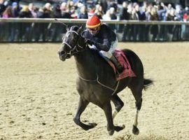 Smile Happy is the 9/5 favorite in a 12-horse Blue Grass Stakes field. He has two wins and a second in three races. (Image: Coady Photography)