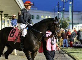 Along with a timely bet by Jim "Mattress Mack" McIngvale, Smile Happy's timely victory in Saturday's Kentucky Jockey Club helped make him the 8/1 individual favorite for the Kentucky Derby Future Wager Pool 1. (Image: Coady Photography)