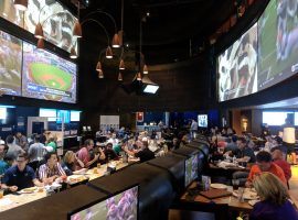 Sports betting expanded across the United States in 2018, with new sportsbooks â€“ like the FanDuel Sportsbook at Meadowlands Racetrack â€“ opening in several states. (Image: Ed Scimia/997655.com)