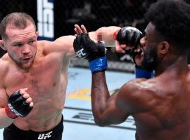 Petr Yan (left) will try to reclaim his bantamweight title from Aljamain Sterling (right) at UFC 273 on Saturday. (Image: Jeff Bottari/Zuffa)