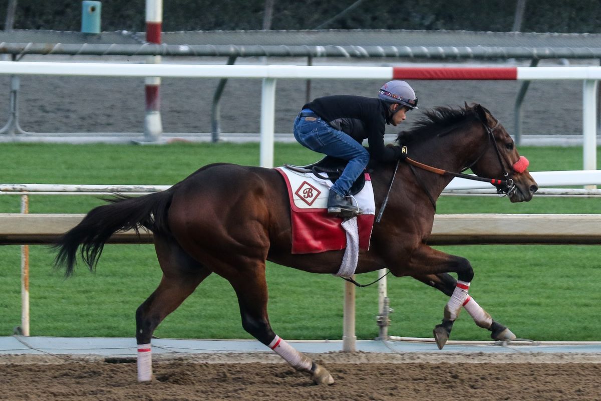 Straight Up G-Cal Cup Derby