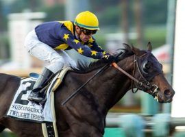 Subconscious won three consecutive races after being gelded. He is the second favorite for Saturday's Grade 1 Hollywood Derby at Del Mar. (Image: Benoit Photo)