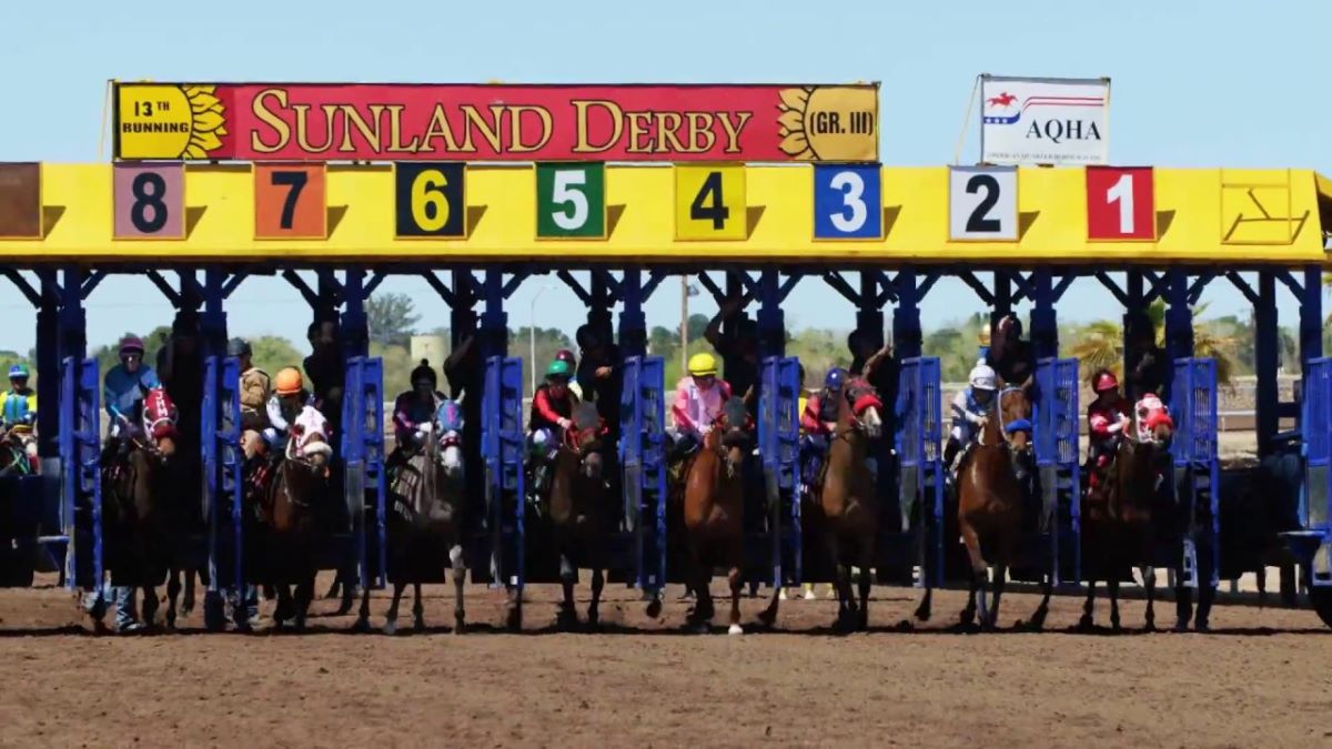 Sunland Derby Gate