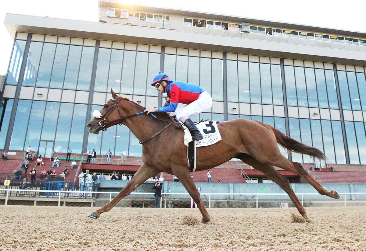 Swiss Skydiver-Preakness Entry