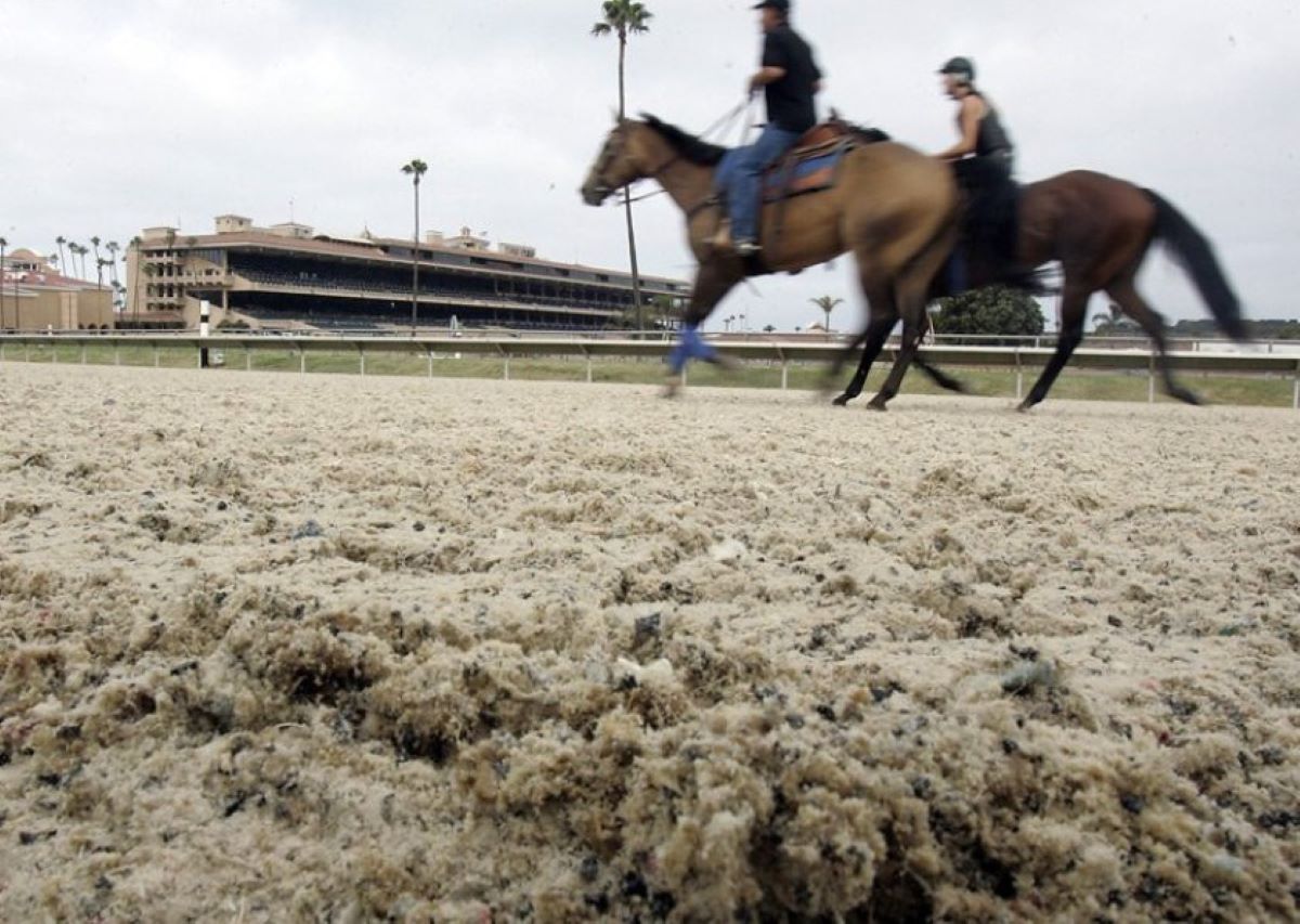 Gulfstream Park-Synthetic