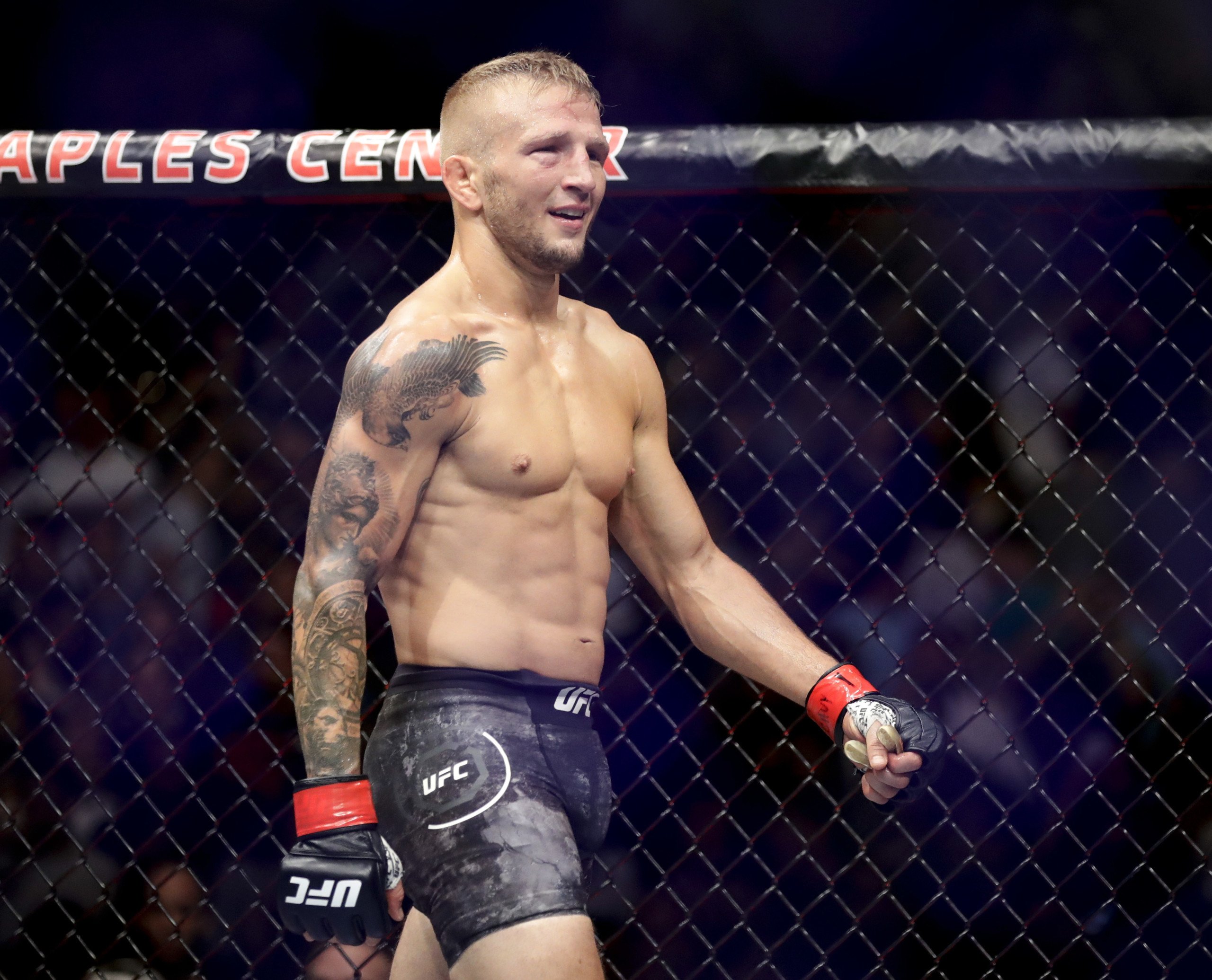 Dillashaw Sandhagen odds UFC