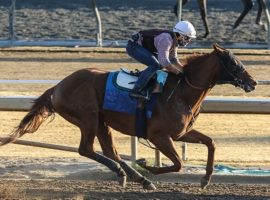 Santa Anita Derby winner Taiba, seen here during a June 25 workout at Santa Anita Park, is headed to next's week's Grade 1 Haskell Stakes. He reunited with trainer Bob Baffert last week. (Image: Ernie Belmonte)