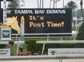 Tampa Bay Downs welcomes 12 new post times after the state granted the track an extension to May 27. (Image: Tampa Bay Downs)