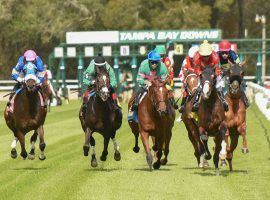 More racing coming at fans could be on the agenda if Tampa Bay Downs receives an extension of its season. (Image: SVPhotography)