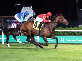 Temple City Terror won last year's Keertana Overnight Stakes at Churchill Downs. She goes for her fifth victory in the same event Saturday. It is the third race in this week's Cross Country Pick 5. (Image: Coady Photography)