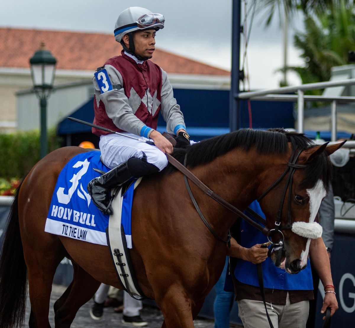 Tiz the Law-Belmont Post