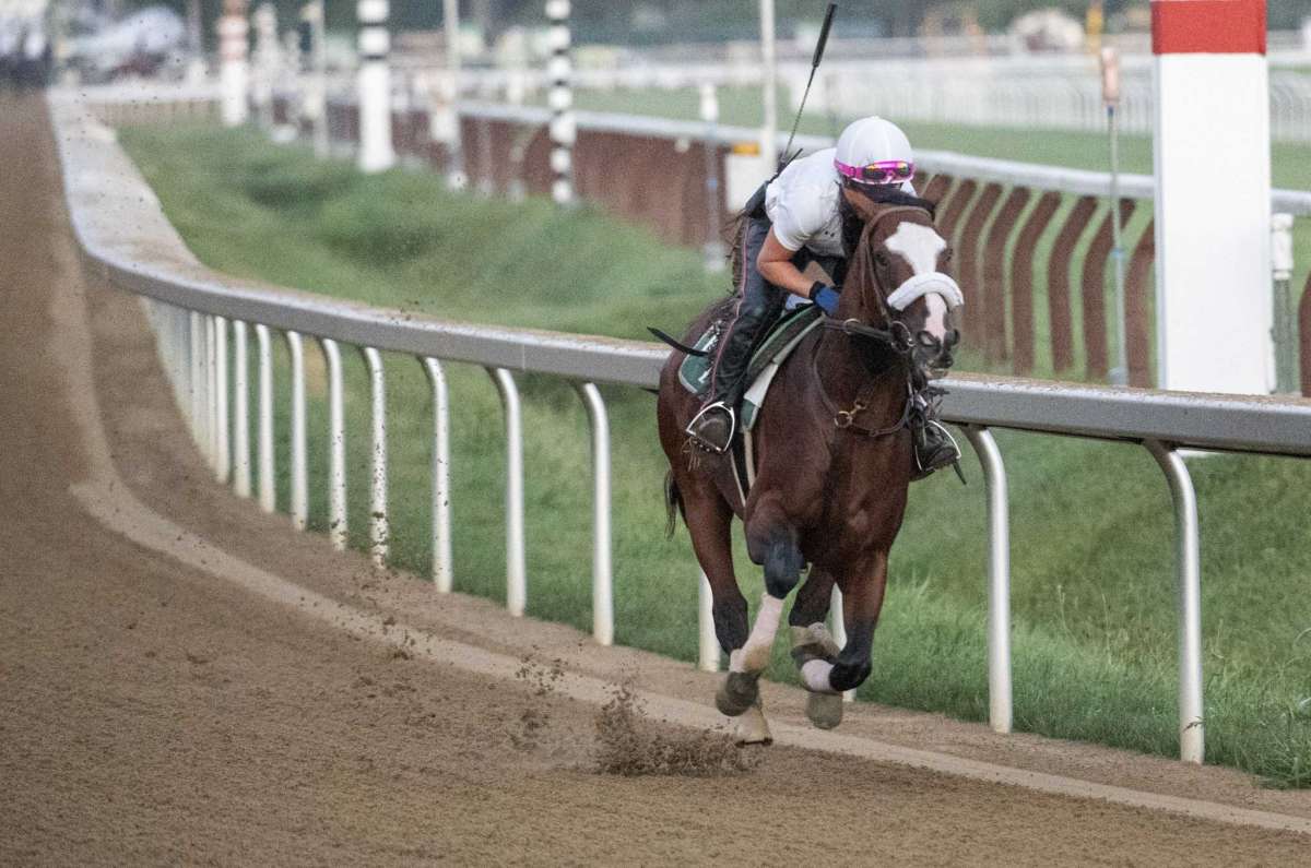 Tiz the Law-Travers Preview