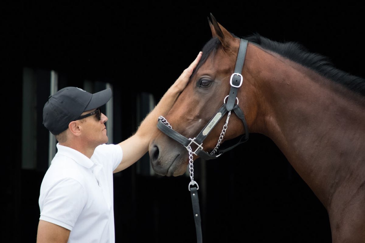 Tom Drury-Art Collector Preakness