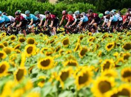 The 2019 Tour de France as it rolled from Toulouse > Bagneres-de-Bigorre. (Image: AP)