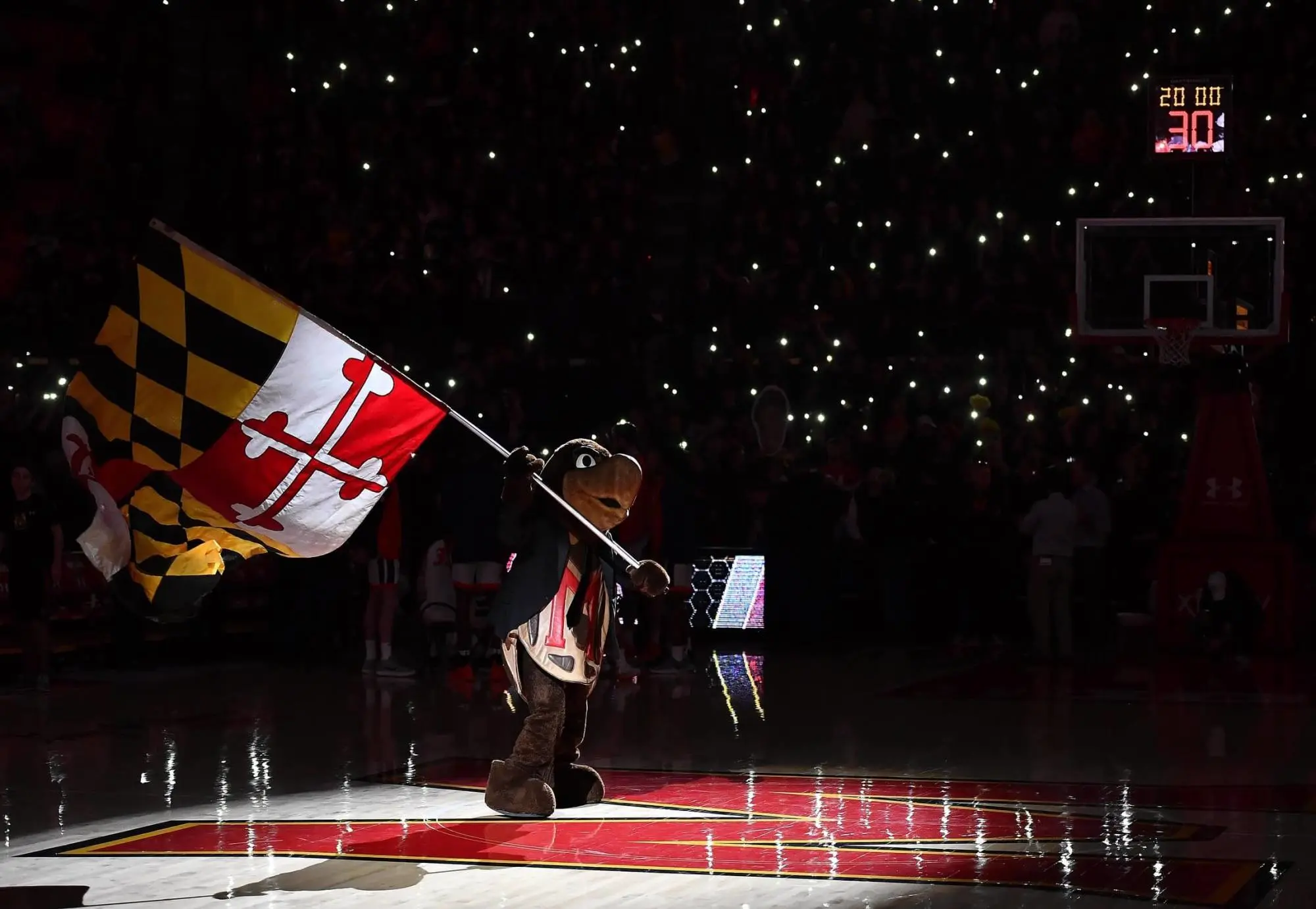 maryland-terrapins-mascot