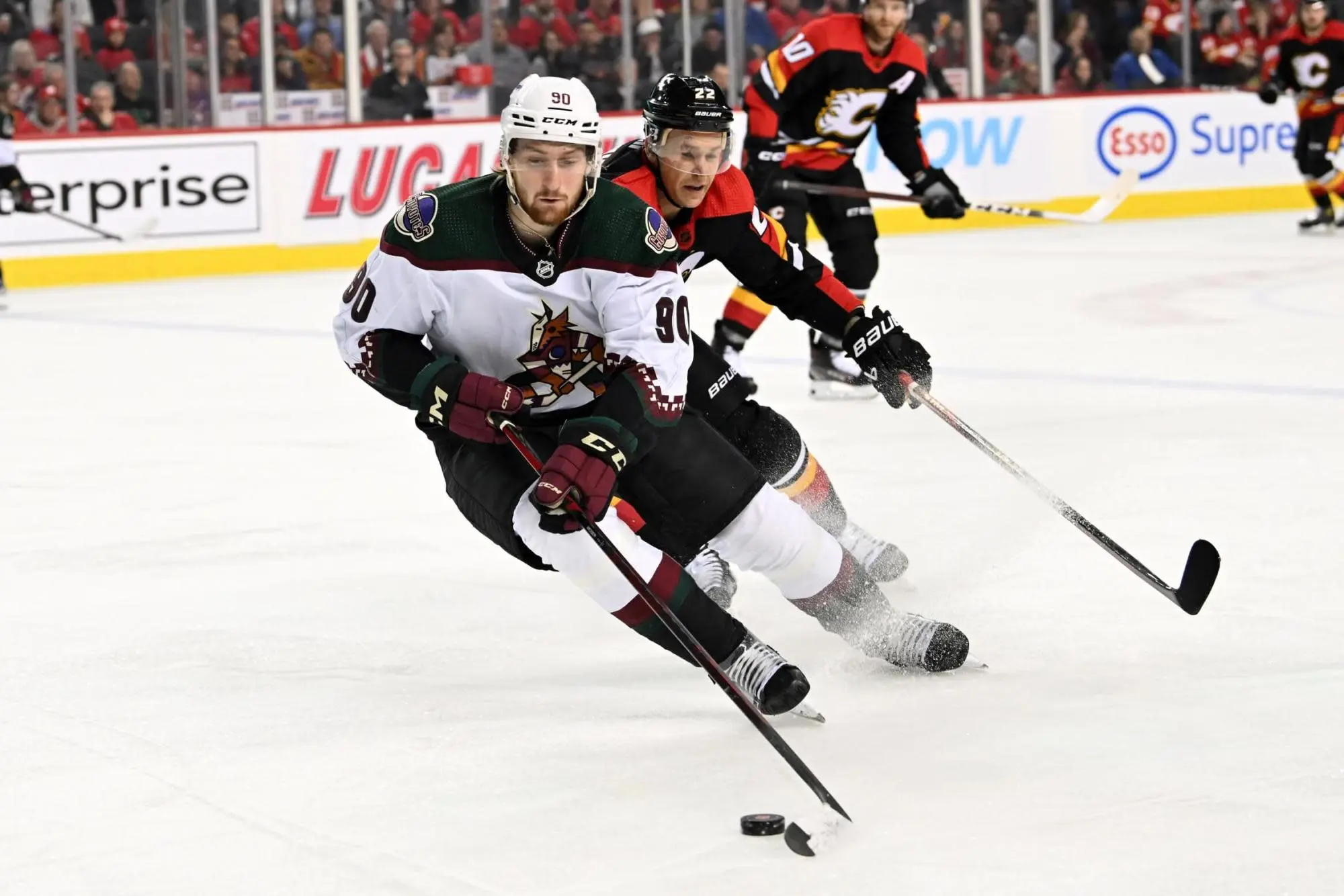 arizona-coyotes-jj-moser-calgary-flames-trevor-lewis-nhl